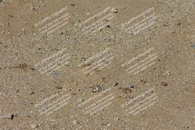 media/Nov-09-2024-Speed Ventures (Sat) [[3963a68c19]]/3-Orange Group/Session 2 Turn 9 Entry/